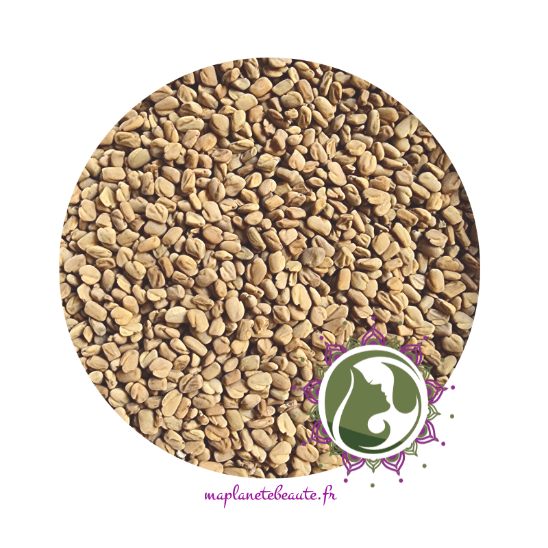 Graines de Fenugrec Biologiques (4.79$ CAD$) – La Boite à Grains